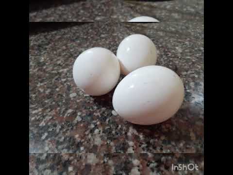 Tasty sponge cake without oven