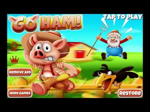 Super HAM Run 3D Video