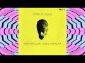 Guided By Voices- Trampoline