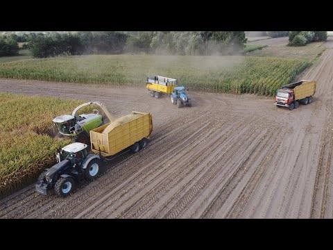 Claas Jaguar 970 - Loonbedrijf Neyt - mais hakselen