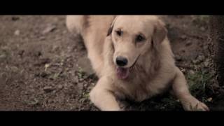 Vicky: Freedom is not a priviledge