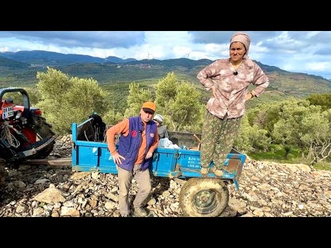 Taşlı Bahçenin Son Hali ve İncir Dikimi