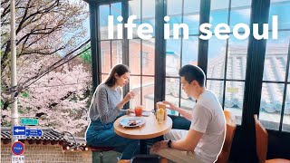 korea vlog 🌸 spring in 'traditional seoul'🌱 old neighborhoods, cherry blossoms, sights & cafes