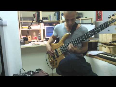 MJF2012-bass-Ran-Levi-Israel-03.avi