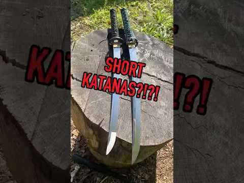 Two Handed Wakizashis?!? Or Short Katanas?!?! Cold Steel's Katana length handle Wakizashis!!