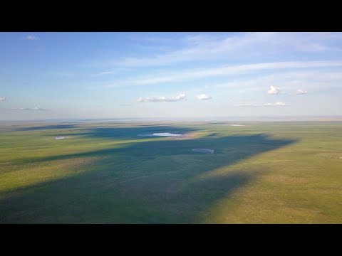Journey through the Eastern Mongolian Steppes: A Visual Story