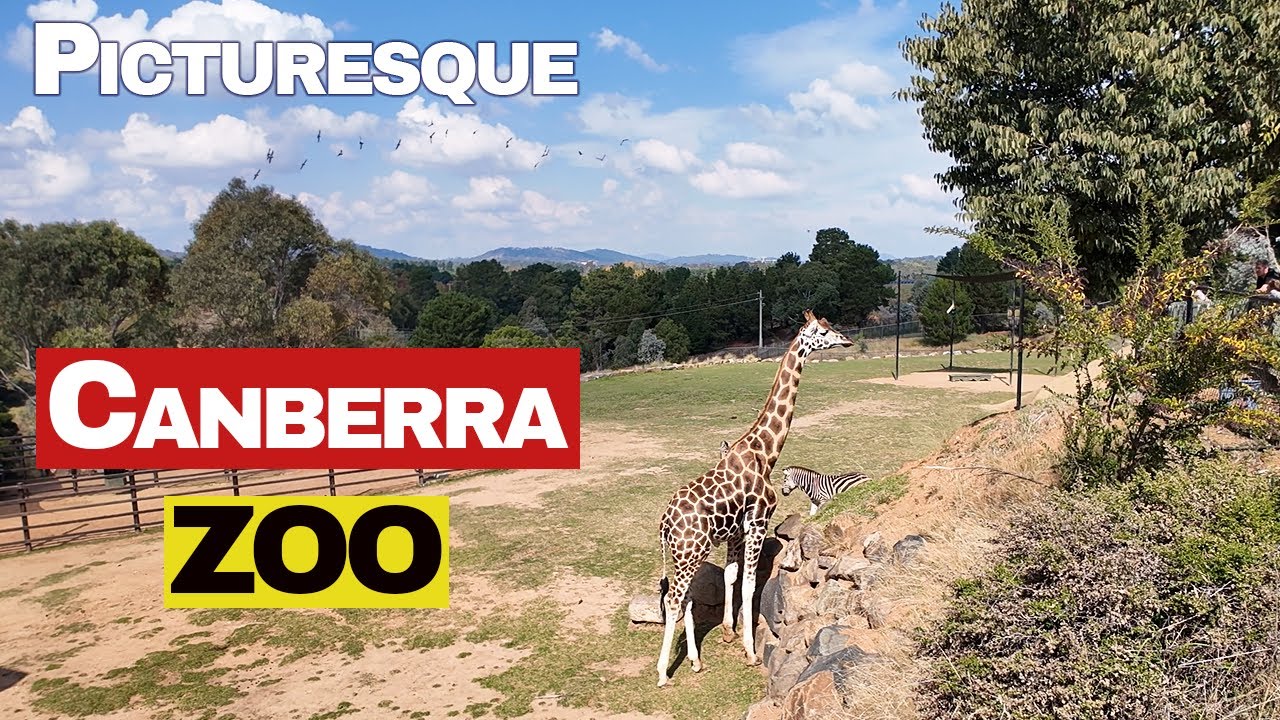 Step into National Zoo & Aquarium with this immersive walkthrough.