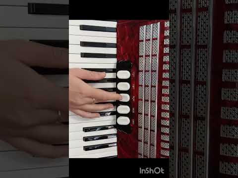 Immagine Accordion Hohner Concerto III N 1990 - Red - 11