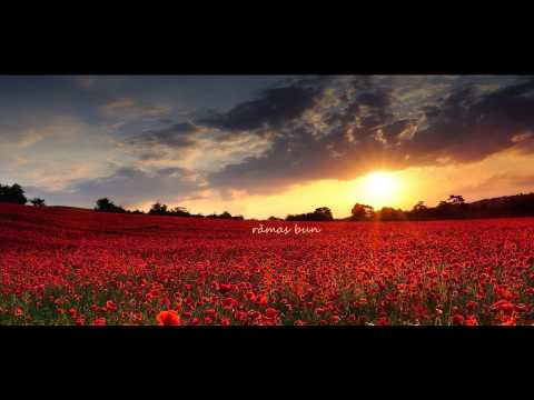 PASĂREA COLIBRI   Scrisoare de bun rămas