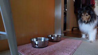 Heidi is Eating Her Supper