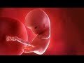 Very Powerful Ruqyah For Pregnancy Childbirth Convince رقية للحمل