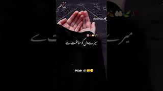 Download lagu Namaz parne ke baad dua mangne ka sahi tarika sikhe#slamic #video #viral #trending mp3 Download lagu Namaz parne ke baad dua mangne ka sahi tarika sikhe#slamic #video #viral #trending mp3