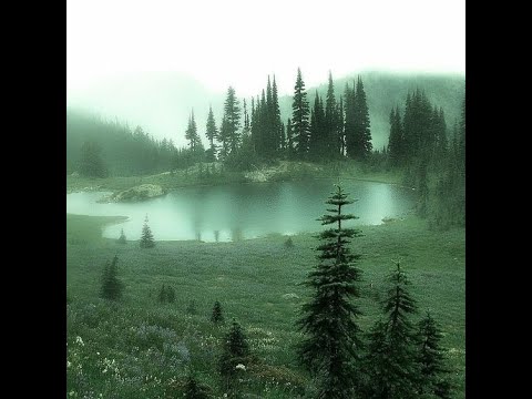 Cloud rap x Yung lean x experimental type beat "Forlorn"