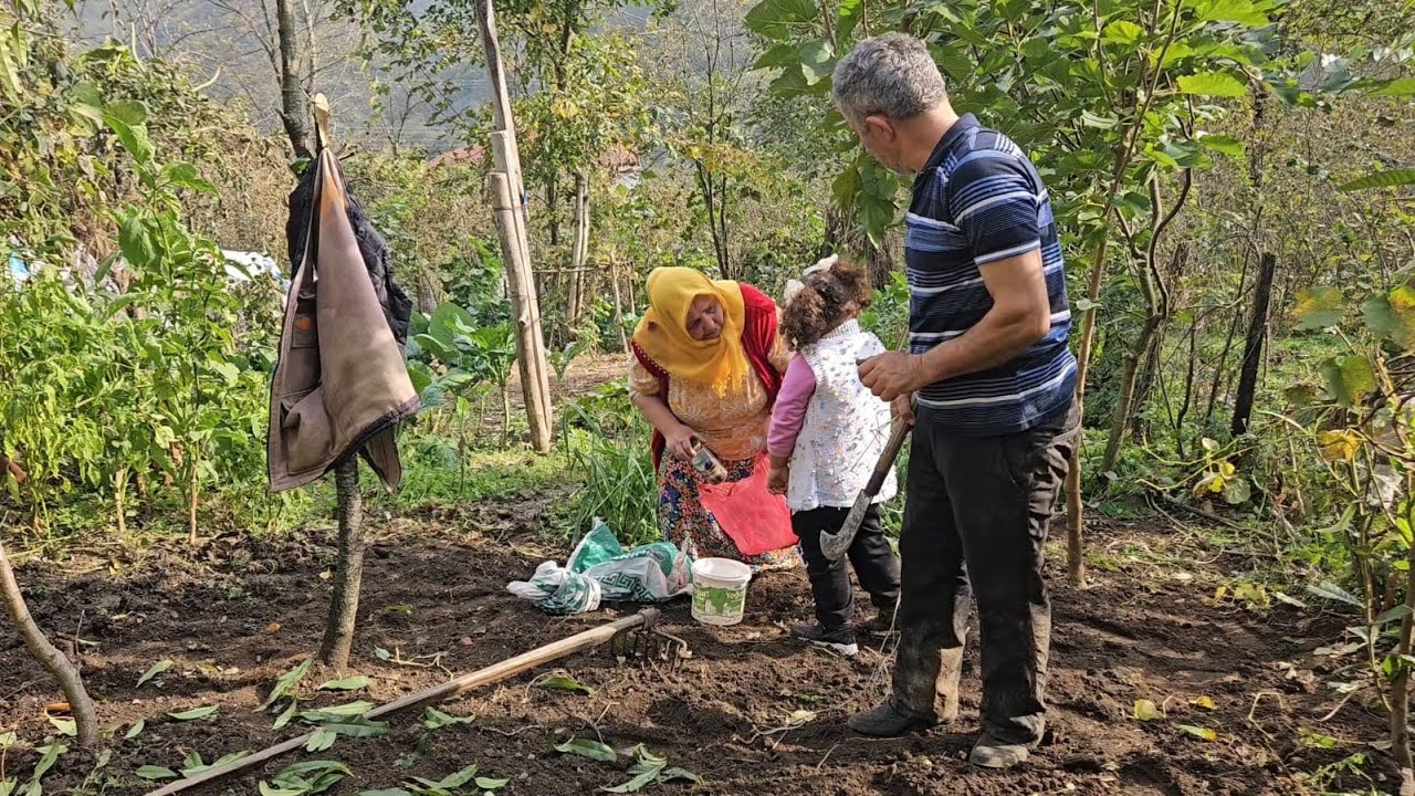 ‼️BAHAR TOHUMLARINI GÜZDEN TOPRAKLA BULUŞTURDUK ☺️