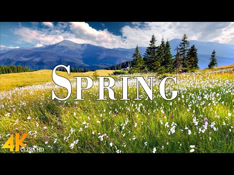 Spring 4K Ultra HD • Stunning Footage Spring, Scenic Relaxation Film with Calming Music.