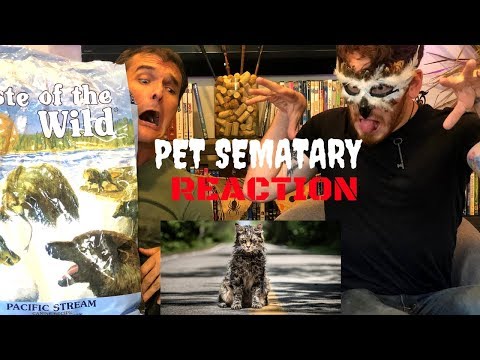 PET SEMATARY (2019) - Official TRAILER REACTION!!!