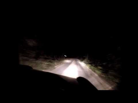 14° Revival Rally Club Valpantena 2016 - PS 5-PERGARI 2