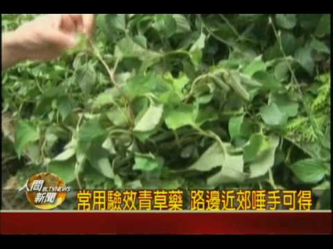 如意蔓功效