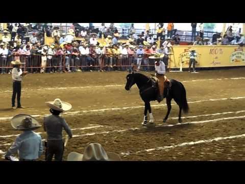 El Cora Caballo de Puente de Camotlán Eliminatoria Caladero Abierto Millonario