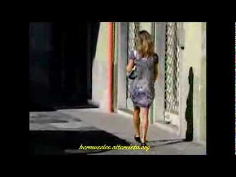 muscular street calves 172