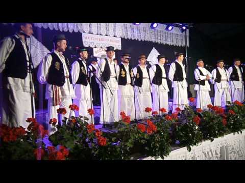 Mirin video-MPS Babogreci-Bećarfest 2014 Babina Greda