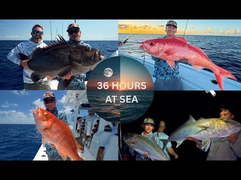 Catching the rarest Grouper in the World! (CRAZIEST PULLEY RIDGE TRIP OF MY LIFE)