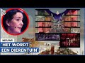 Na aanwijzen plek erotisch centrum: ‘Halsema doet toch wel wat ze wil’