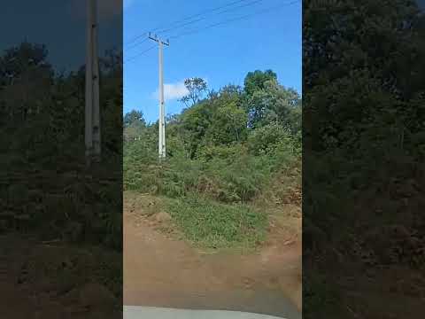Trajeto pra Cachoeira do Abarracamento  Taquari Cruz Machado Paraná .