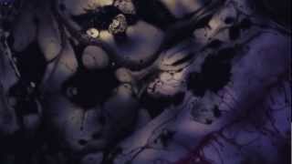 Mikky Ekko - Pull Me Down (Davy Evans Video)