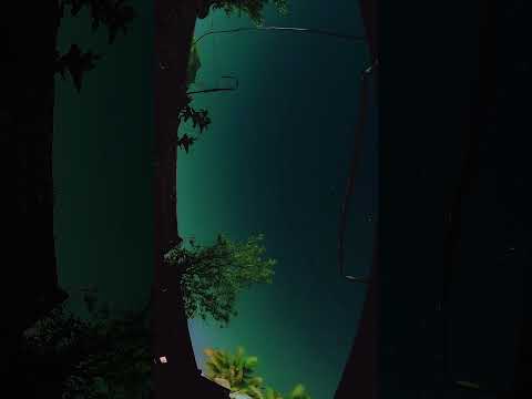 Milky way captured using gopro hero 10. #milkyway #galaxy #startrail #gopro #goprohero10