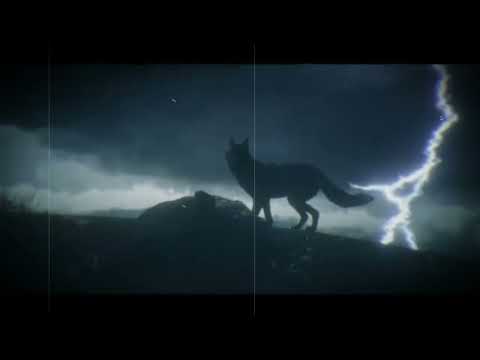 ( MENTIS ) GieWu - Wilcze Plemię