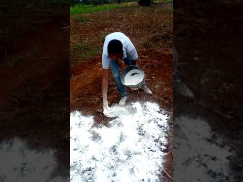how to spread lime on land