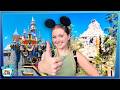 COMPLETE GUIDE To Disneyland Park