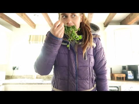 3 WEEK CHALLENGE | OTD vlog #044