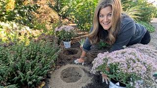 Harvesting Blue Wheat, Planting Spinach Seeds, Ornamental Grass, Hostas & Sedum!🌿🌾🥬 // Garden Answer