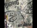 BigWig - Owned and Operated 
