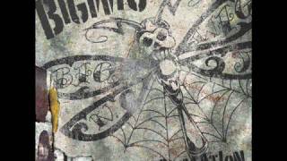 BigWig - Owned and Operated