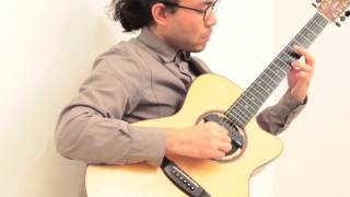 Eleven Small Roaches - Aerial(Michael Hedges Solo guitar cover マイケル・ヘッジス ソロギターカバー)