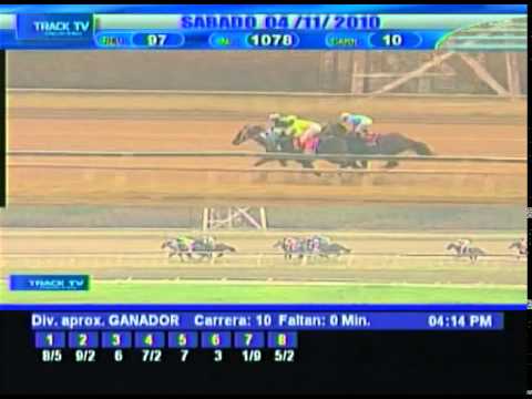 Copa Dama del Caribe 2010 - American Woman (VEN)