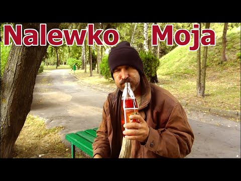 Kacters - Nalewko Moja (Masters - Żono moja/PARODIA)