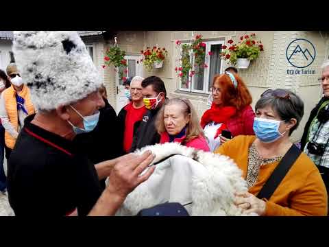 Cojocar de Dolheștii Mici, SV