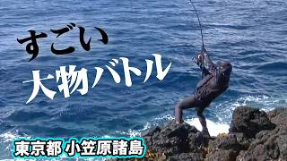 アジ