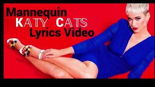 Katy Perry Mannequin Lyrics/Karaoke video (KC Karaoke)