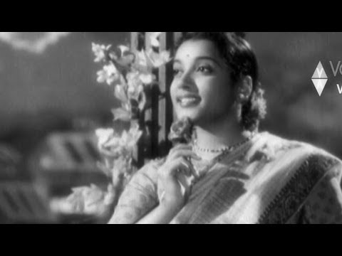 Donga Ramudu Songs - Anuragamu Virisena - ANR Savithri Jamuna
