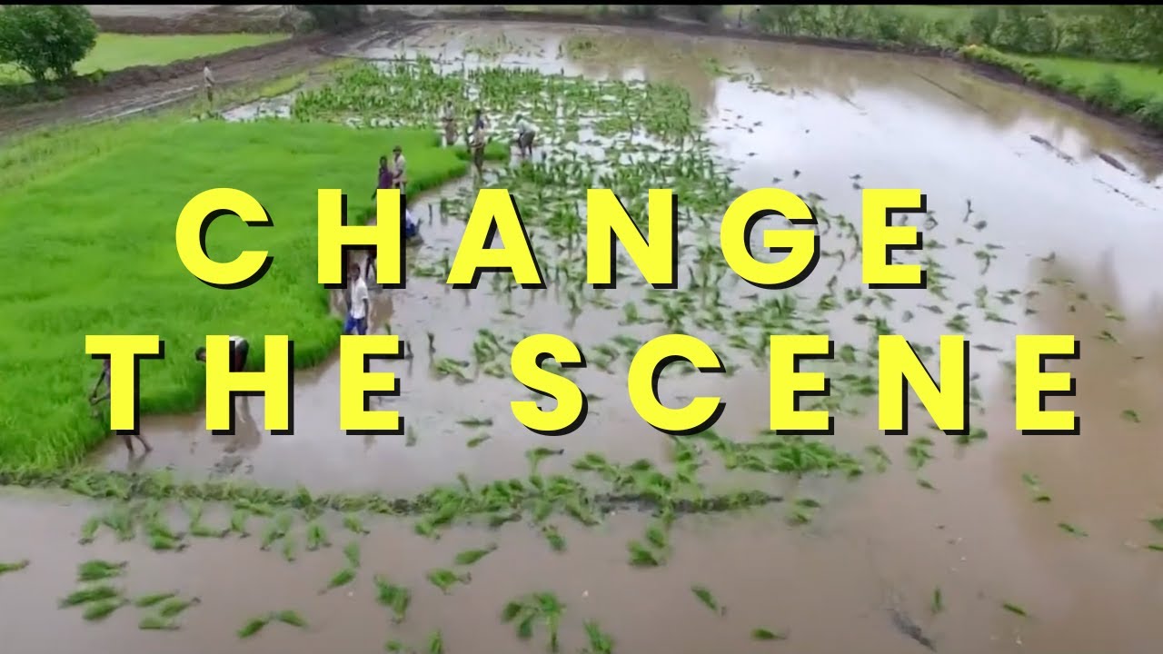 CRISIL Foundation — CSR Film