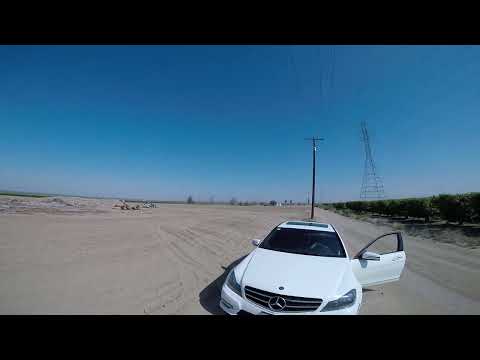 A Visit to the Onion Field