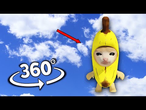 Banana Cat Finding Challenge But It's 360 degree video #2