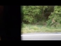 Accident Judeţul Tulcea O Maşină S A Răsturnat Pe DN 22A