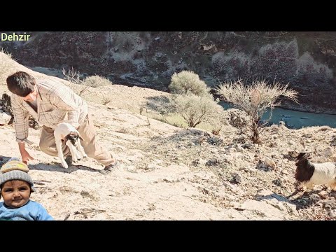 A way home: the return of the father and the hidden wonders of the life next to the new goat.