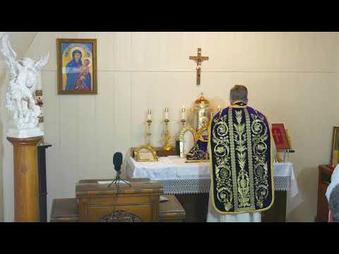 Fr. Altman Celebrating Holy Mass:  3-1-26